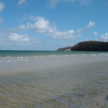 Seemuschel